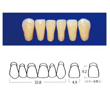 エフセラ-A STANDARD MOULDS LB4-A3 (6歯)[山八歯材工業]