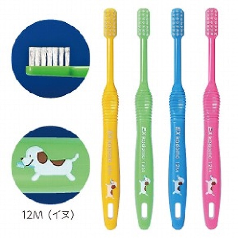 EX kodomo 12M イヌ (20本)[ライオン歯科材]