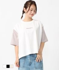 NEW SALE祳ӻɽT CF6146