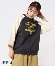 �Υ����ݥ��оݡ�7ʬµ�饰��󥹥����å� CF6167