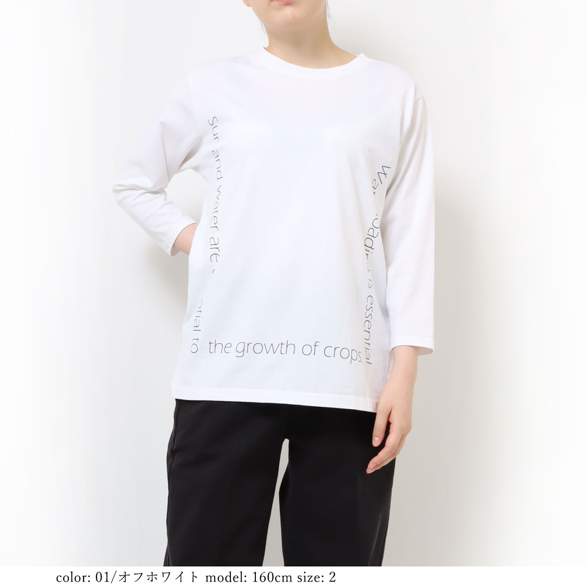 �߸˸¤��SALE�ۥץ���7ʬµT GMT373