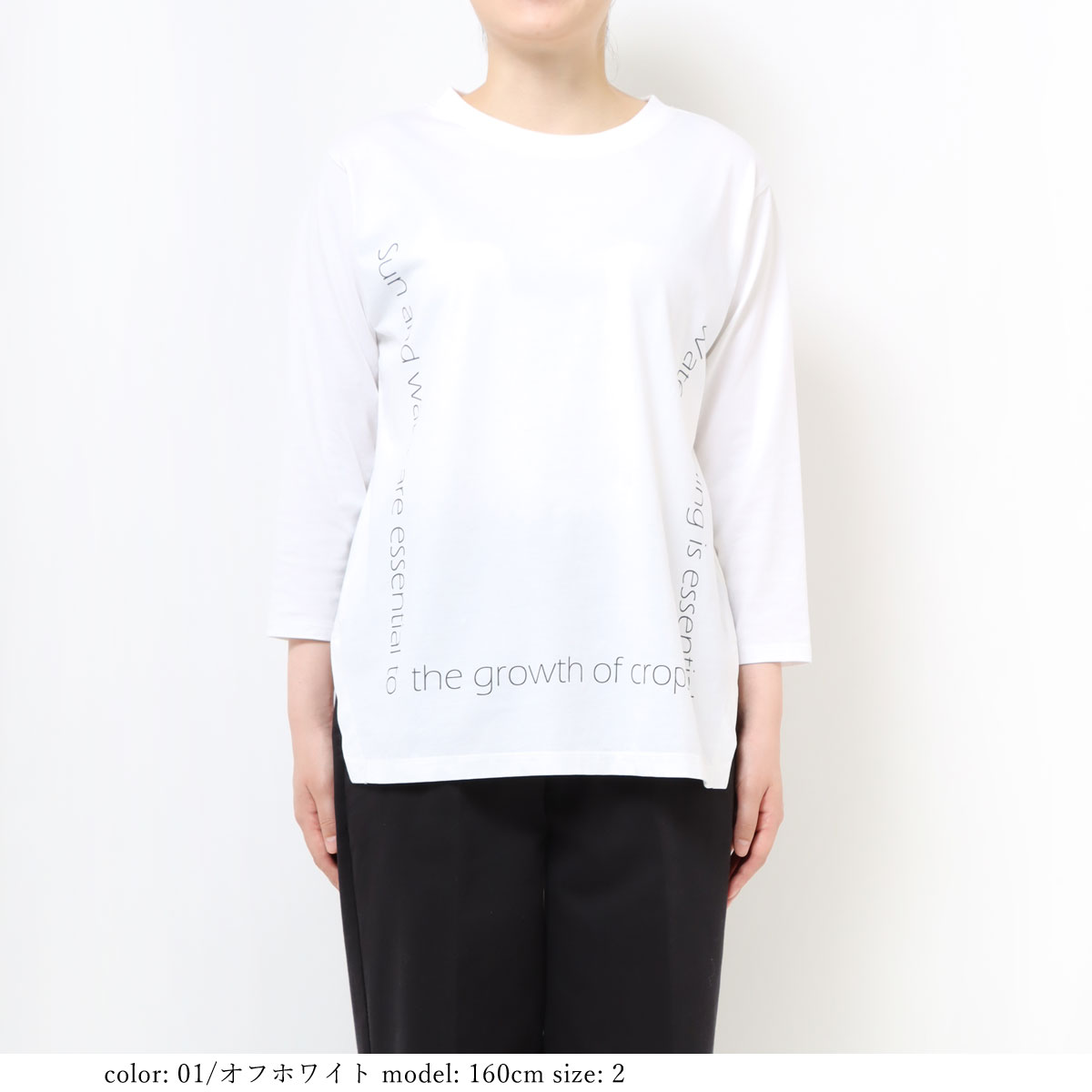 �߸˸¤��SALE�ۥץ���7ʬµT GMT373