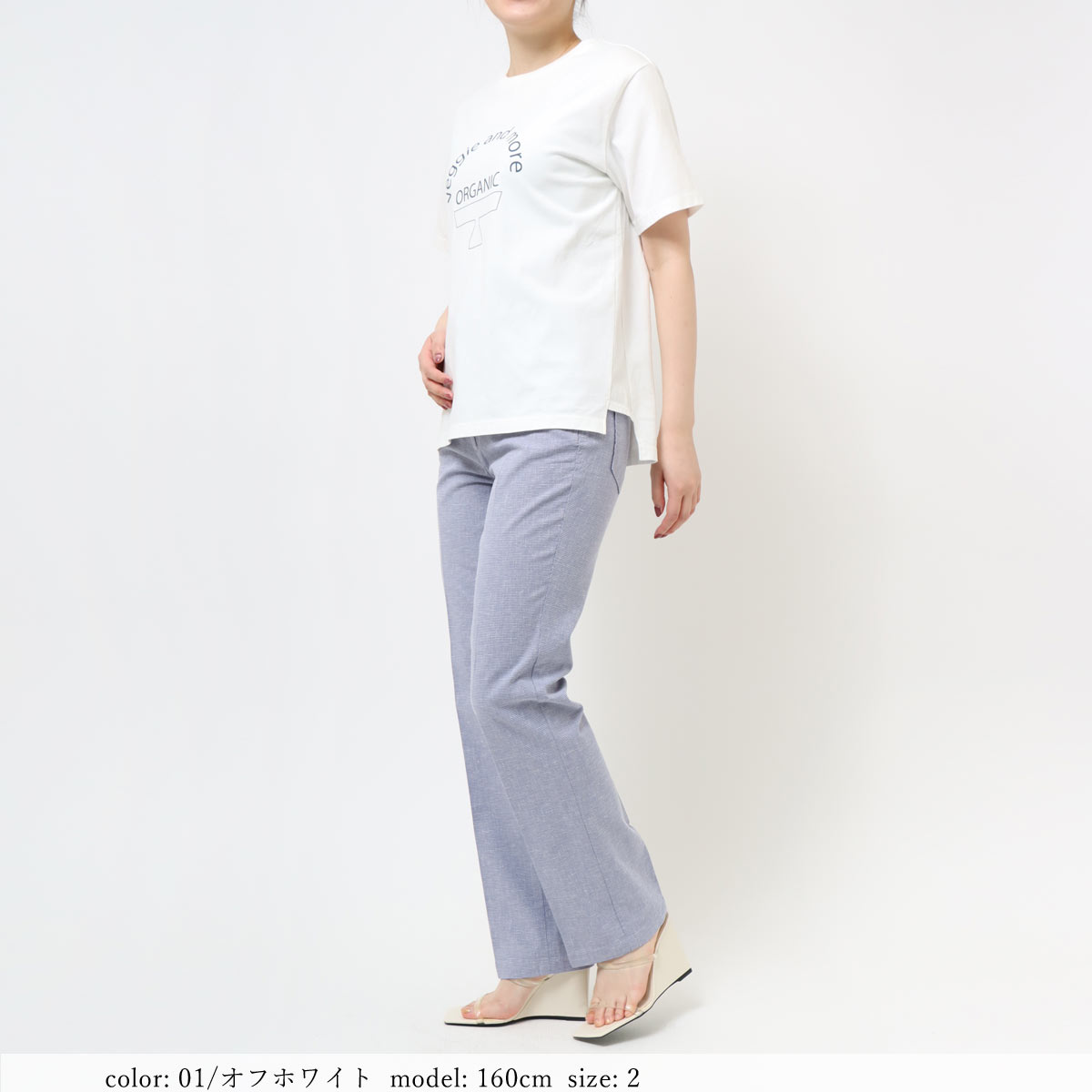 �߸˸¤� ��SALE�� �ץ���ȾµT����� GMT409