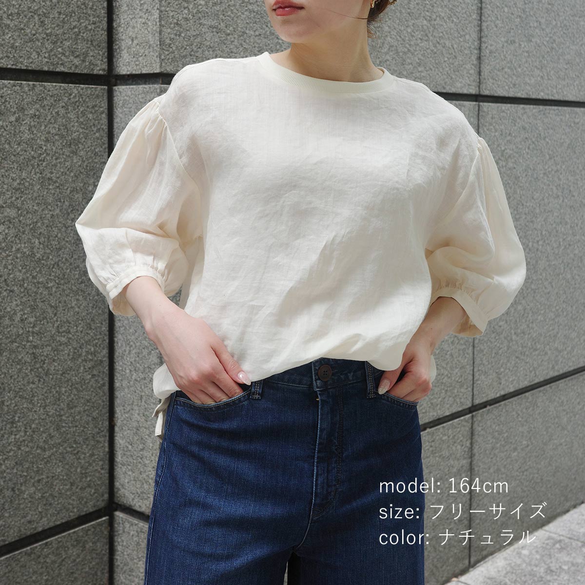 ��ߡ��֥饦��T����� SCT184