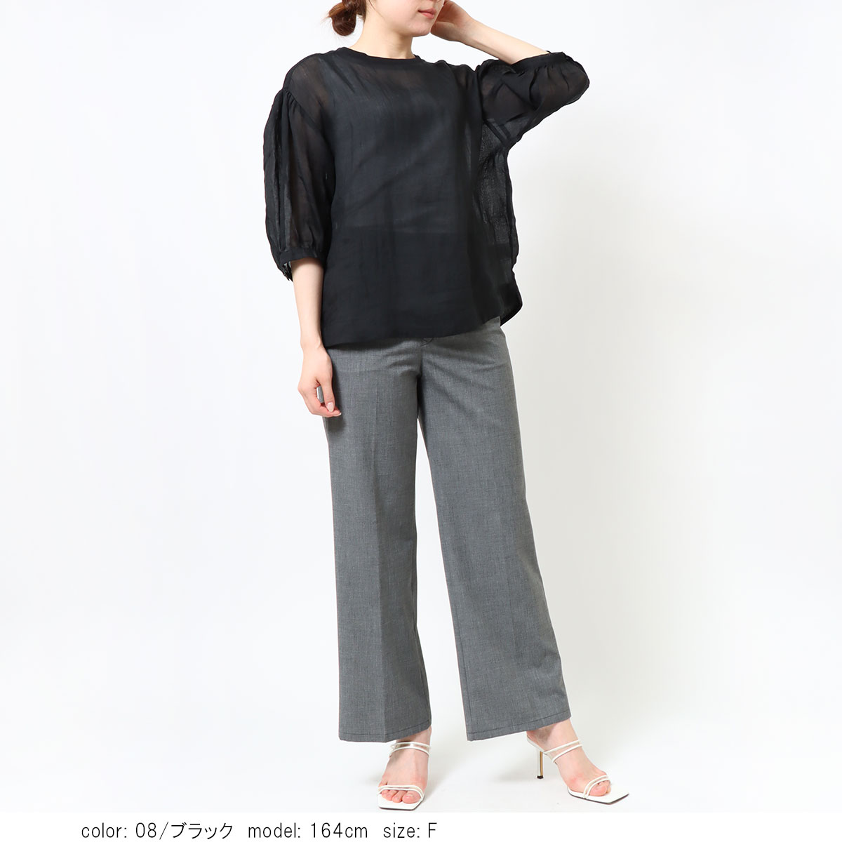 ��ߡ��֥饦��T����� SCT184