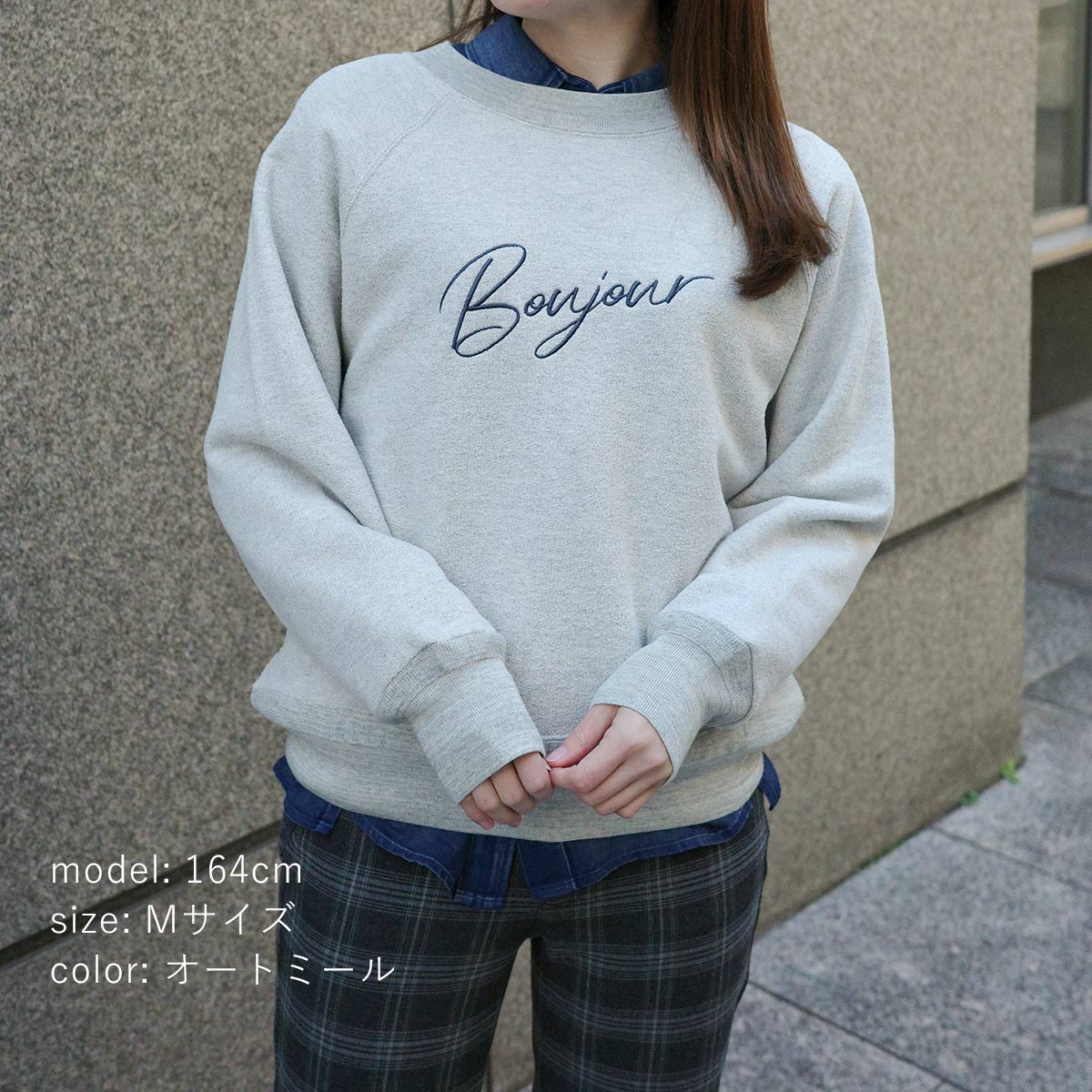 ��BIG SALE�ۺ߸˸¤� �ɽ������ץ륪���С� SCT170