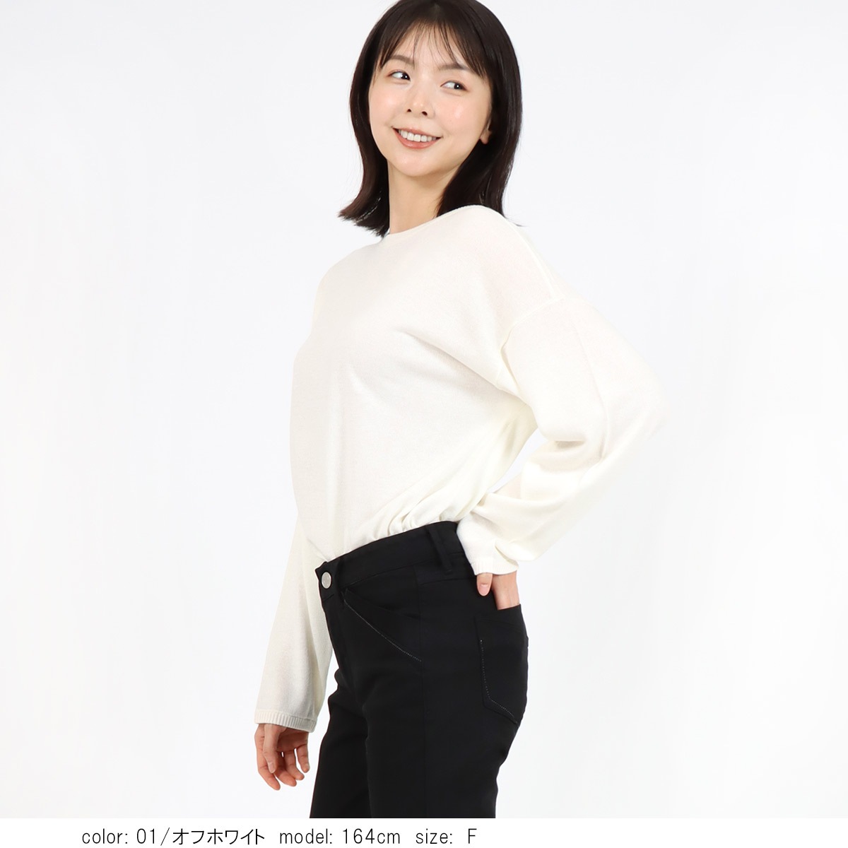 �ܥå����ץ륪���С� 	SCT173