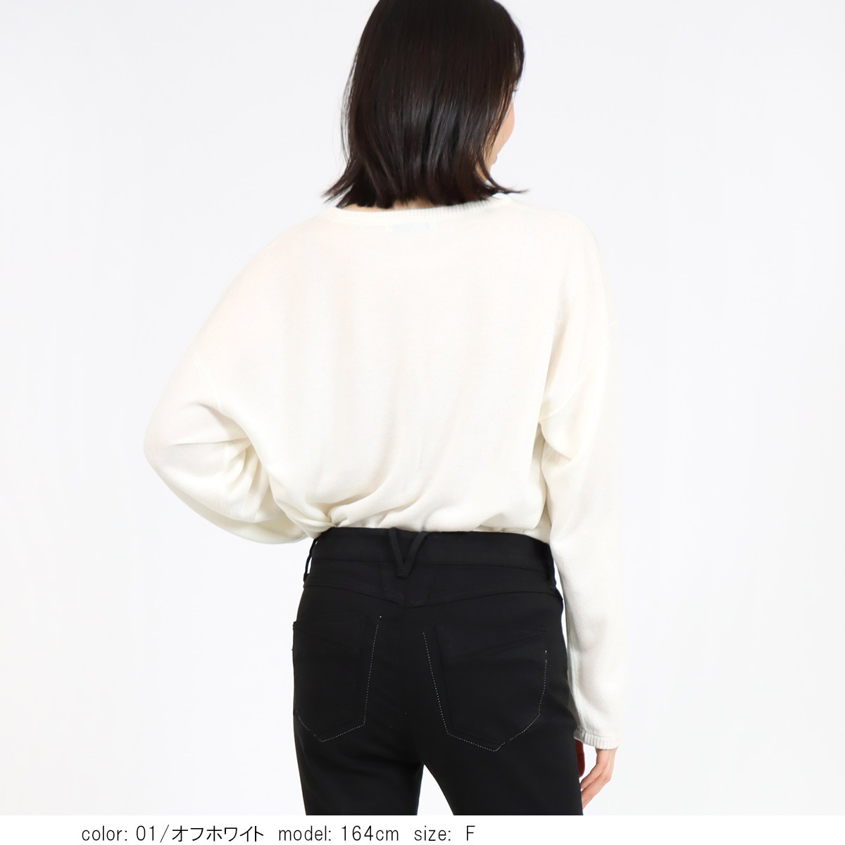 �ܥå����ץ륪���С� 	SCT173