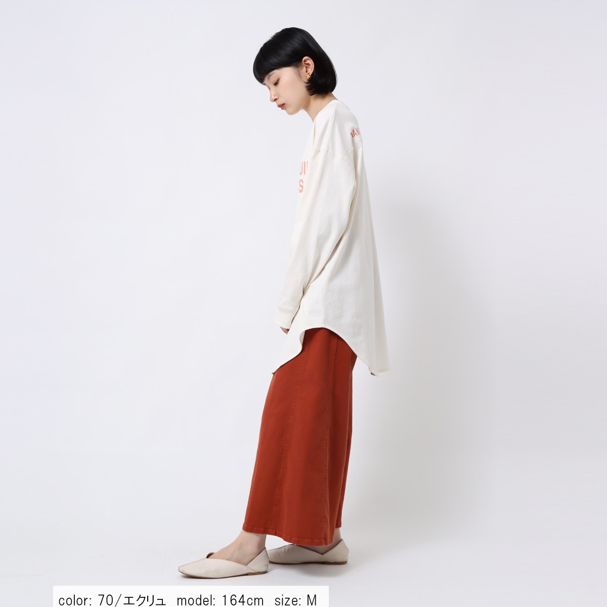 ��SALE�ۻĤ�1�����߸˸¤� �ץ��ȥ�������˥å� CF6044