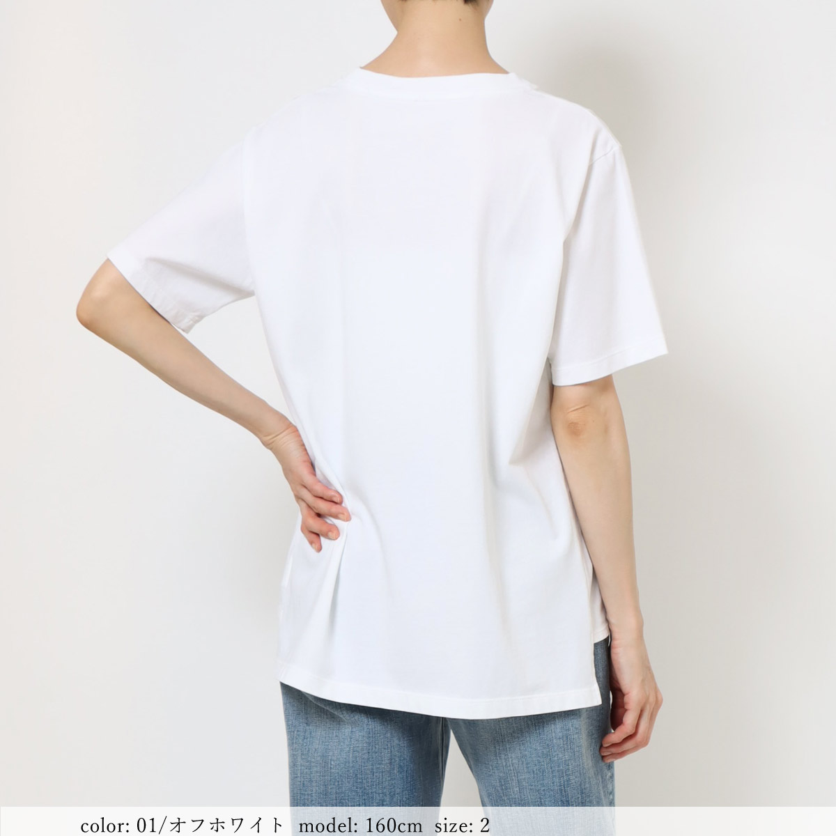 ��15%OFF�����ݥ��оݡϺ߸˸¤� �ɽ�ȾµT����� GMT462