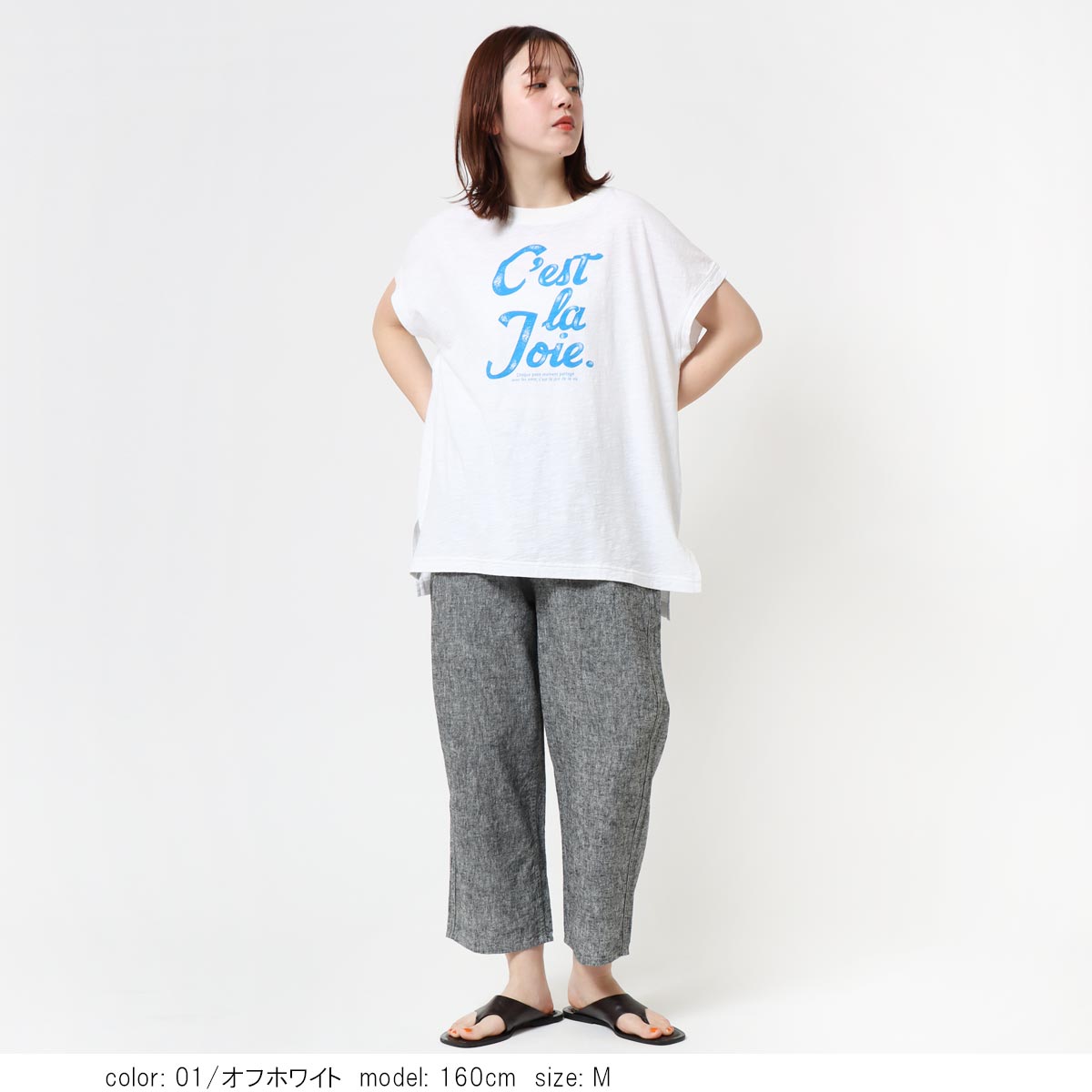 ���硼�ȥ��꡼�֥ץ���T����� CF6179