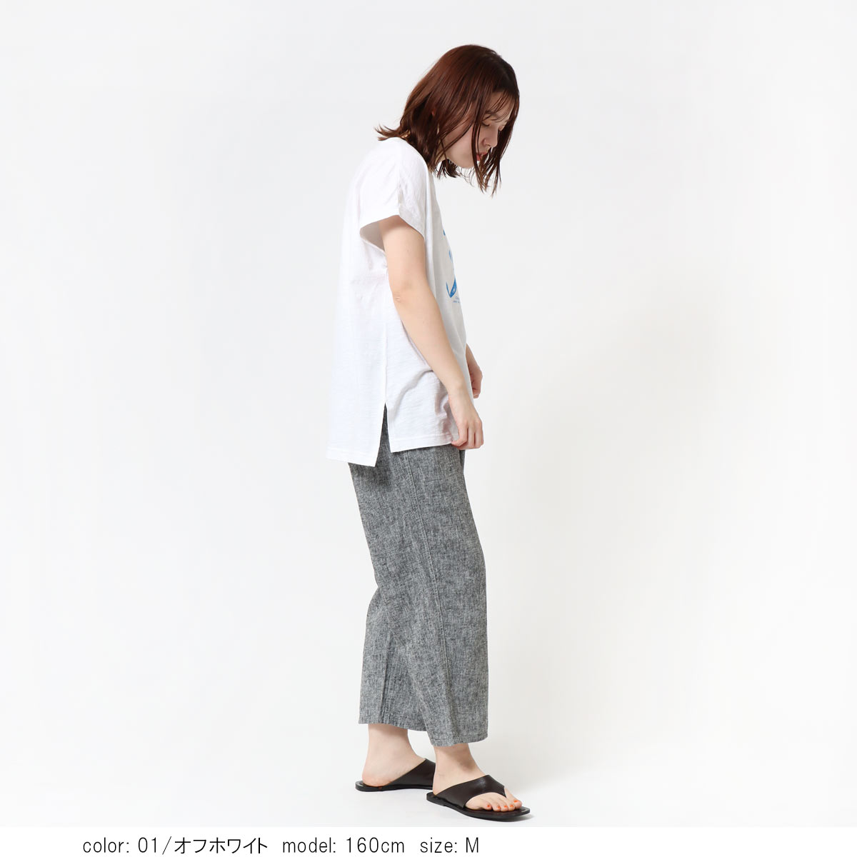 ���硼�ȥ��꡼�֥ץ���T����� CF6179
