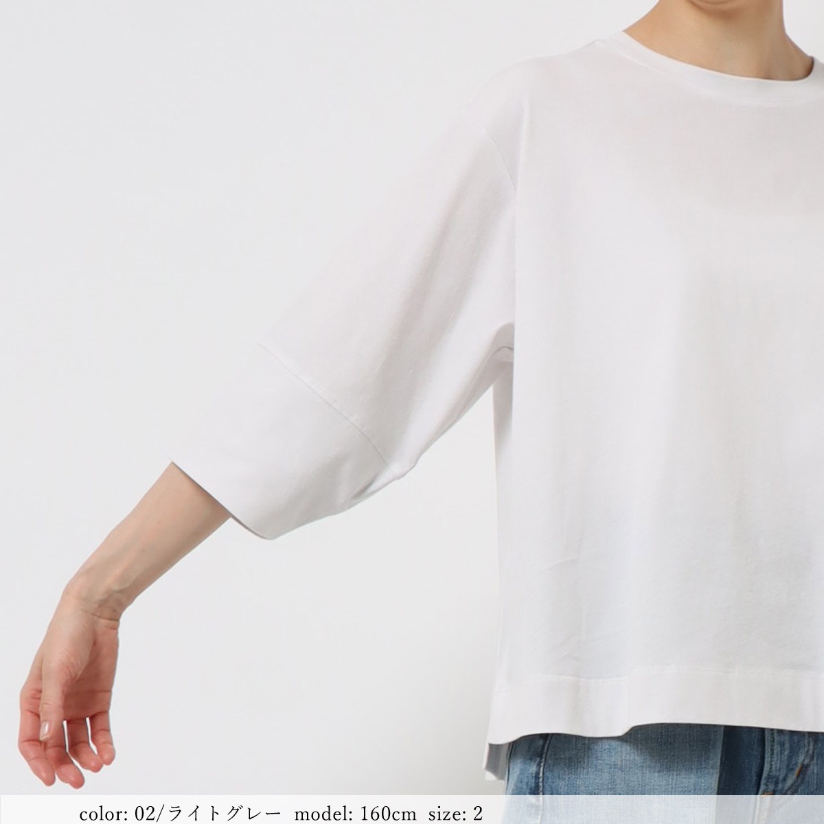 ��ǲ�Х롼�󥹥꡼��T����� GMT467