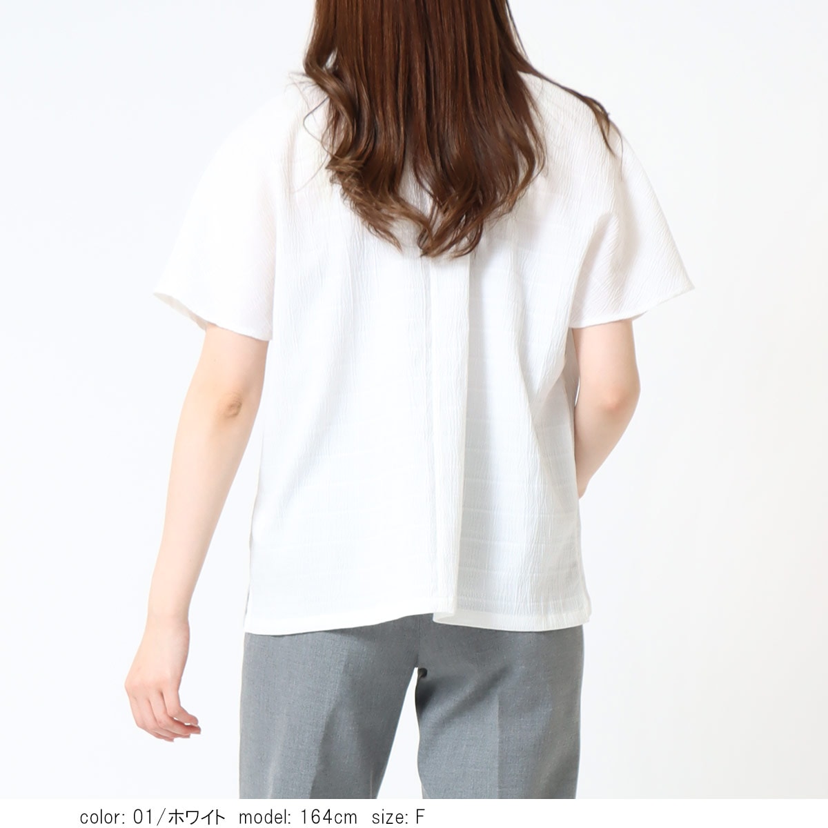 ��PRE SALE20%OFF�����ݥ��оݡۥ��㥶���ܥå�������� SCT178
