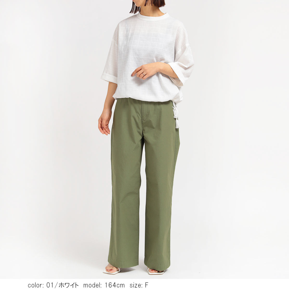 ��PRE SALE20%OFF�����ݥ��оݡۺ߸˸¤� �֥饦��T����� SCT179