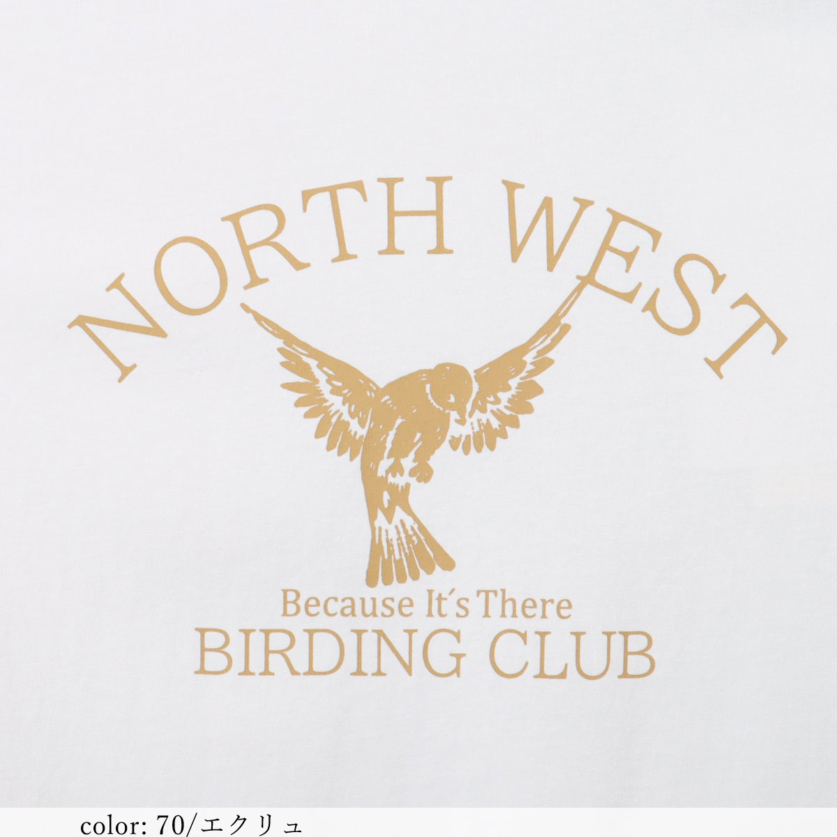 �߸˸¤��BIG SALE�ۥץ���7ʬµT GMT368