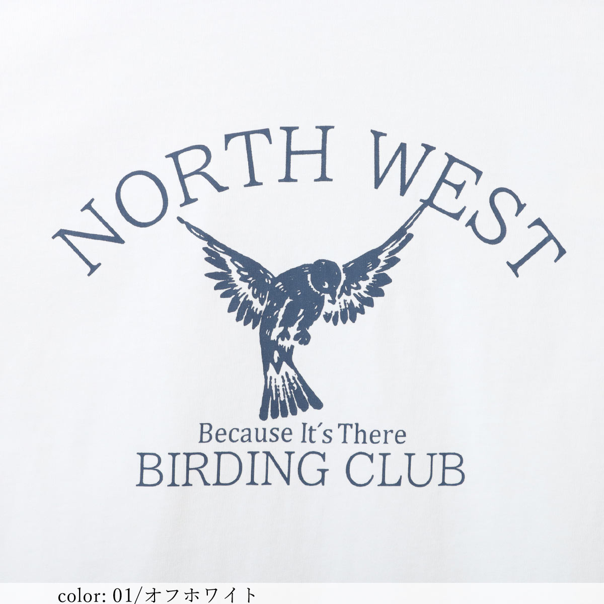 �߸˸¤��BIG SALE�ۥץ���7ʬµT GMT368