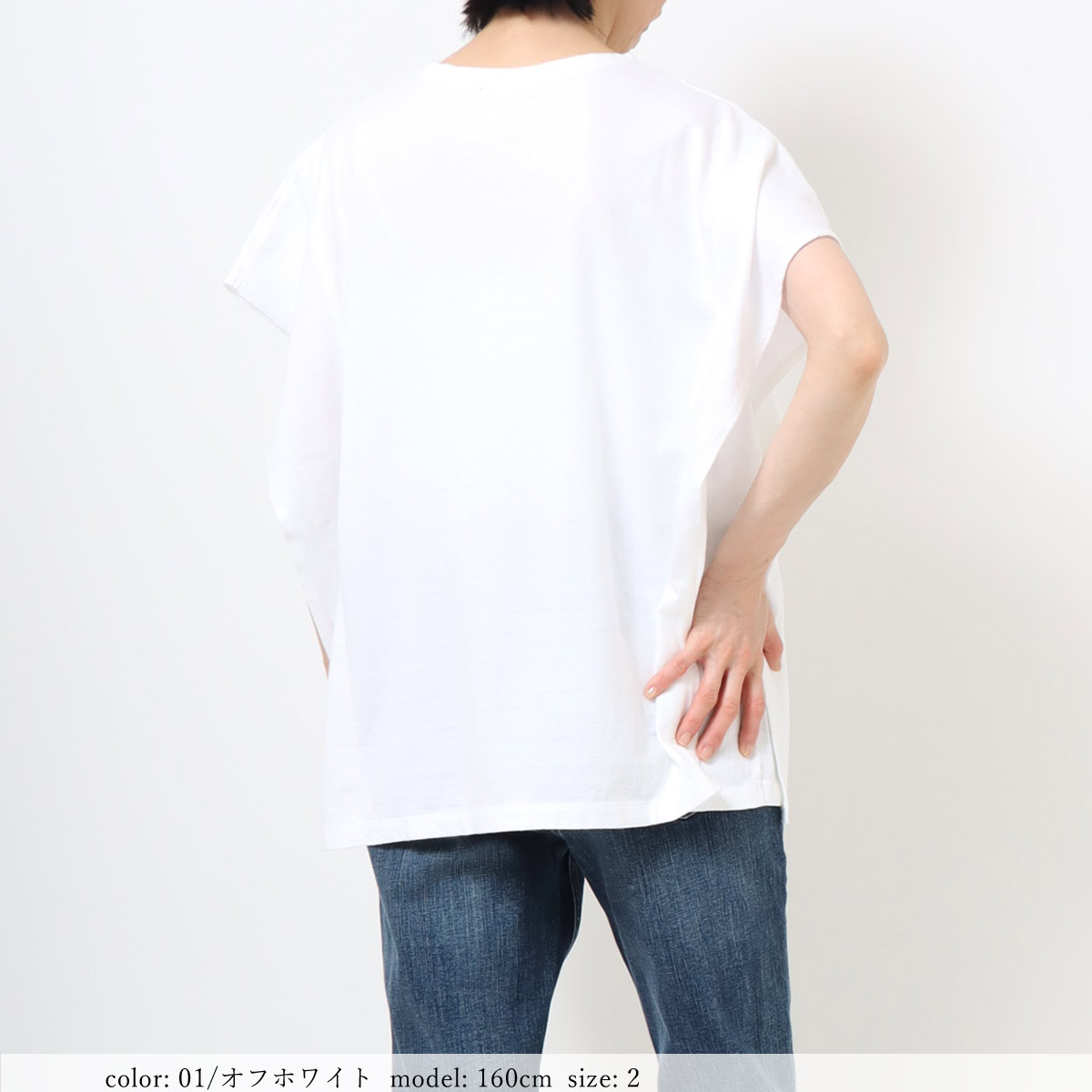 ��SALE��ȿ�ӥե������꡼�� GMT455