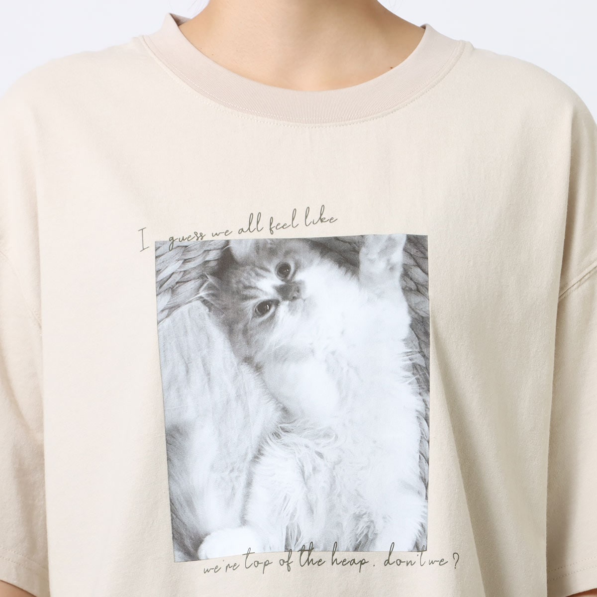 10�ܥݥ���ȡ�ͽ��ۡ�3/13����ͽ���Ⱦµ�ե��ȥץ���T����� CF6169