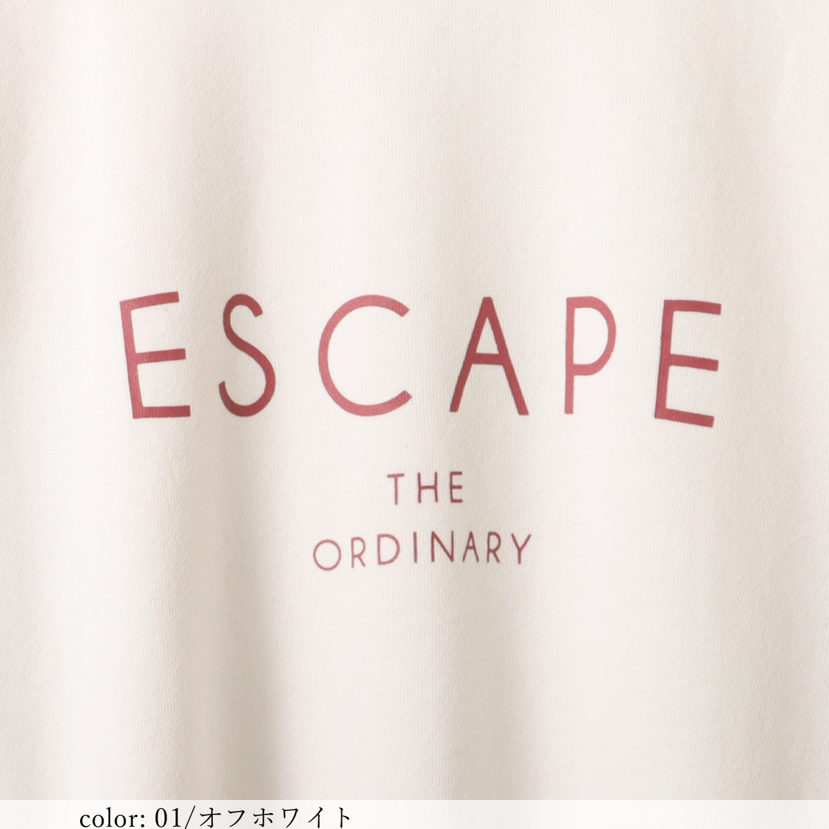 ��SALE�� �ץ��ȥȥ졼�ʡ� GMT362