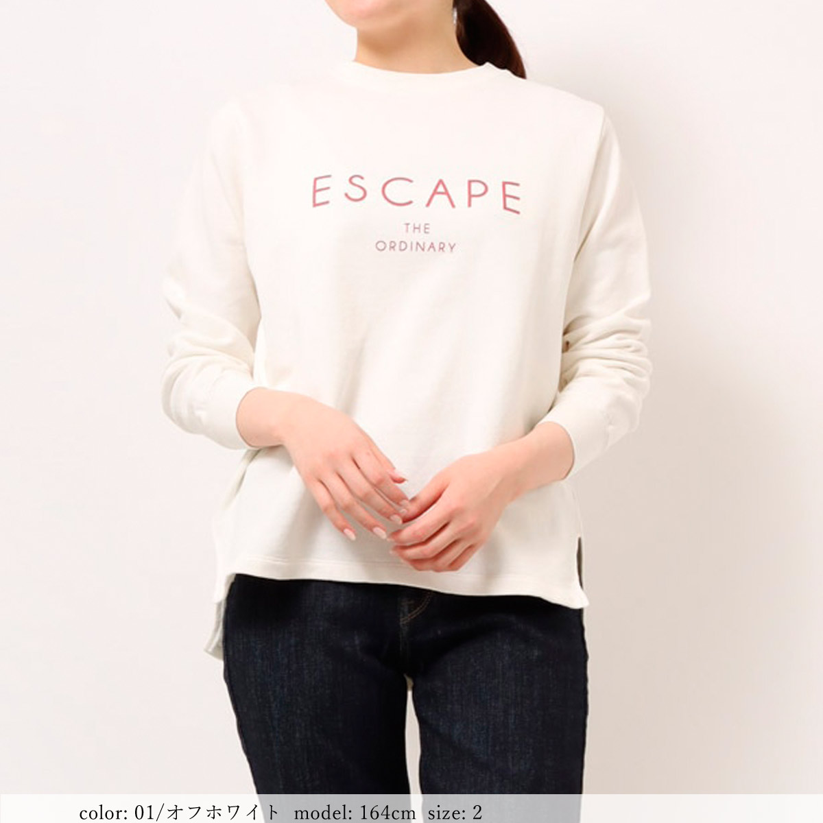 ��SALE�� �ץ��ȥȥ졼�ʡ� GMT362