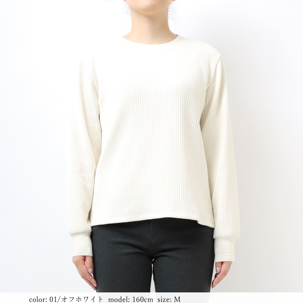 ��BIG SALE�ۥ���ѥ��ȥץ륪���С� SCT127