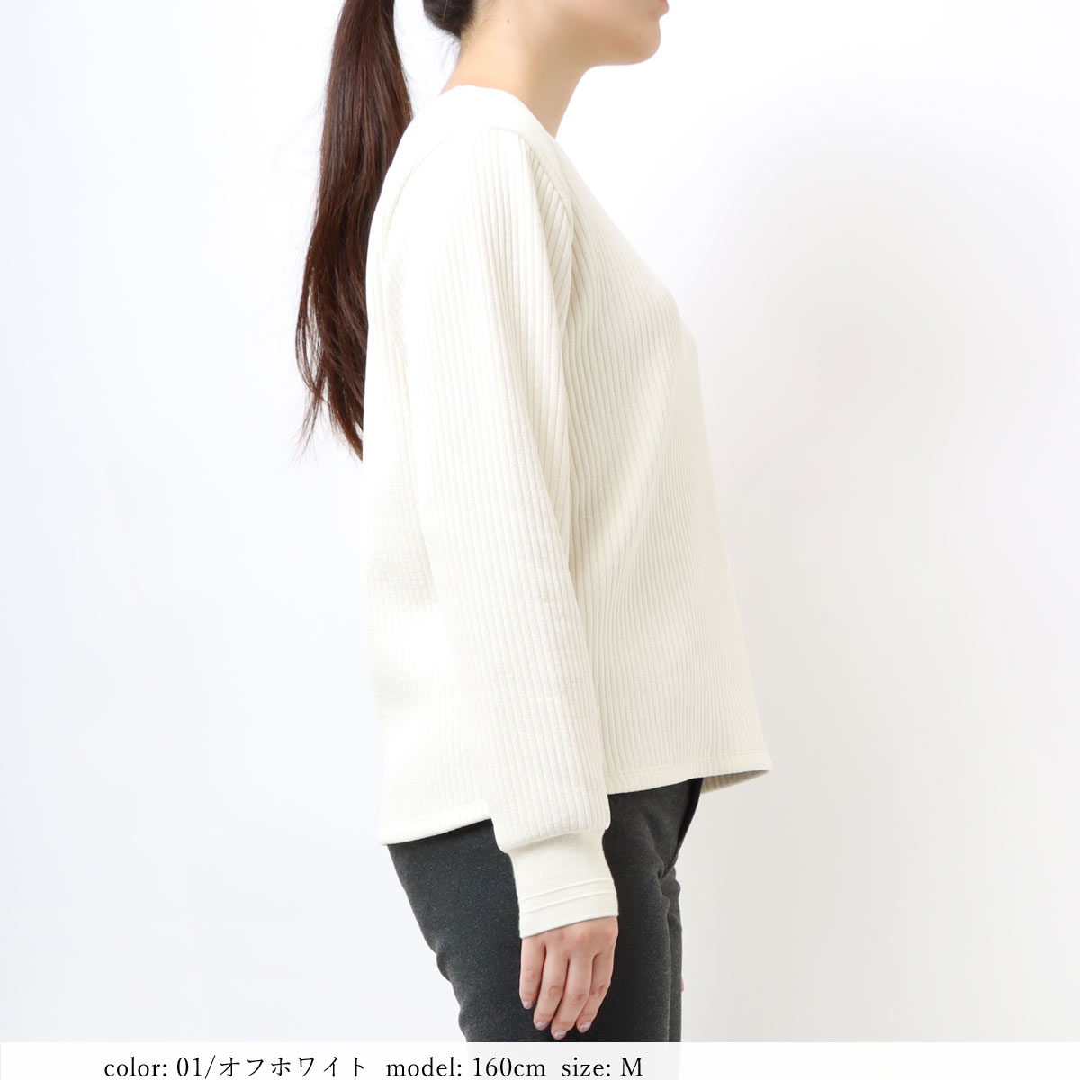 ��BIG SALE�ۥ���ѥ��ȥץ륪���С� SCT127