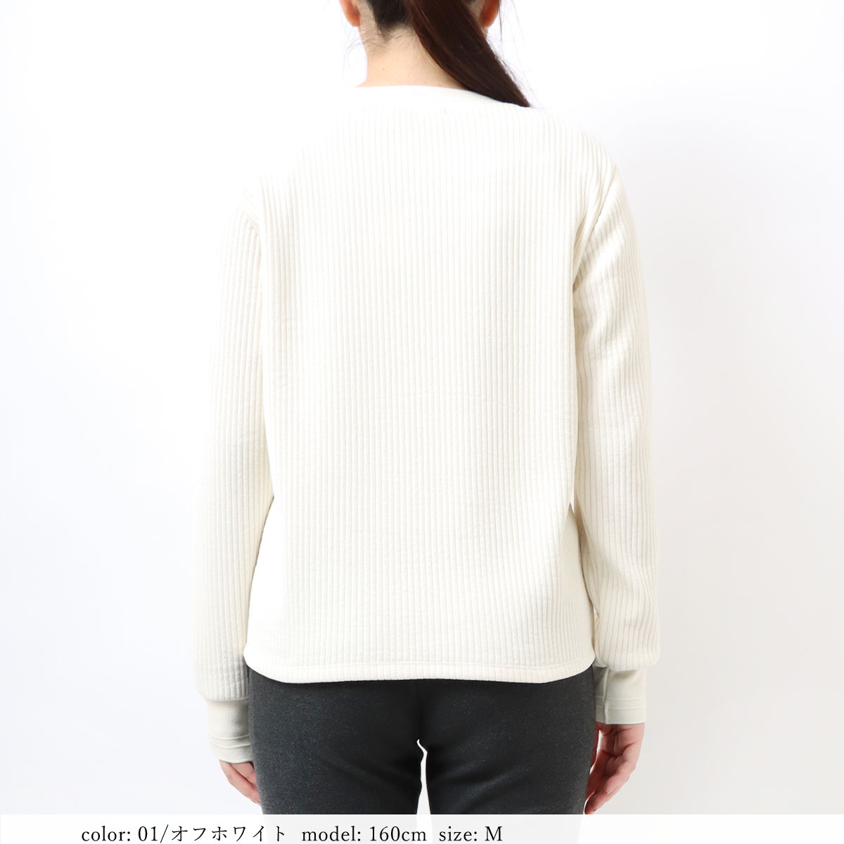 ��BIG SALE�ۥ���ѥ��ȥץ륪���С� SCT127