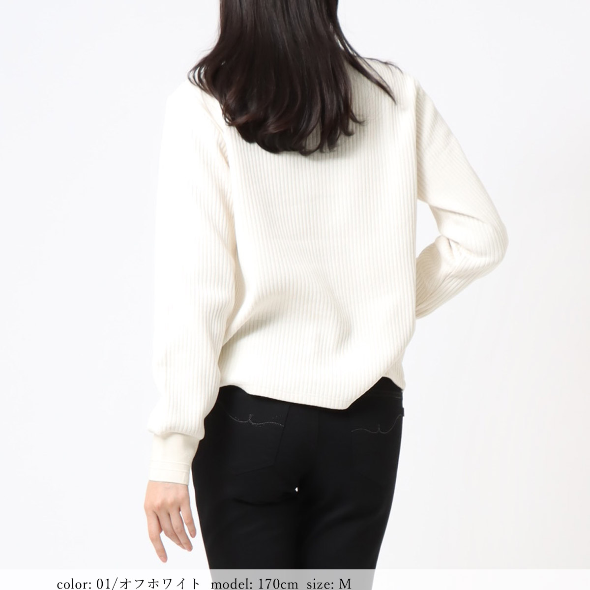 ��BIG SALE�ۥ���ѥ��ȥץ륪���С� SCT127