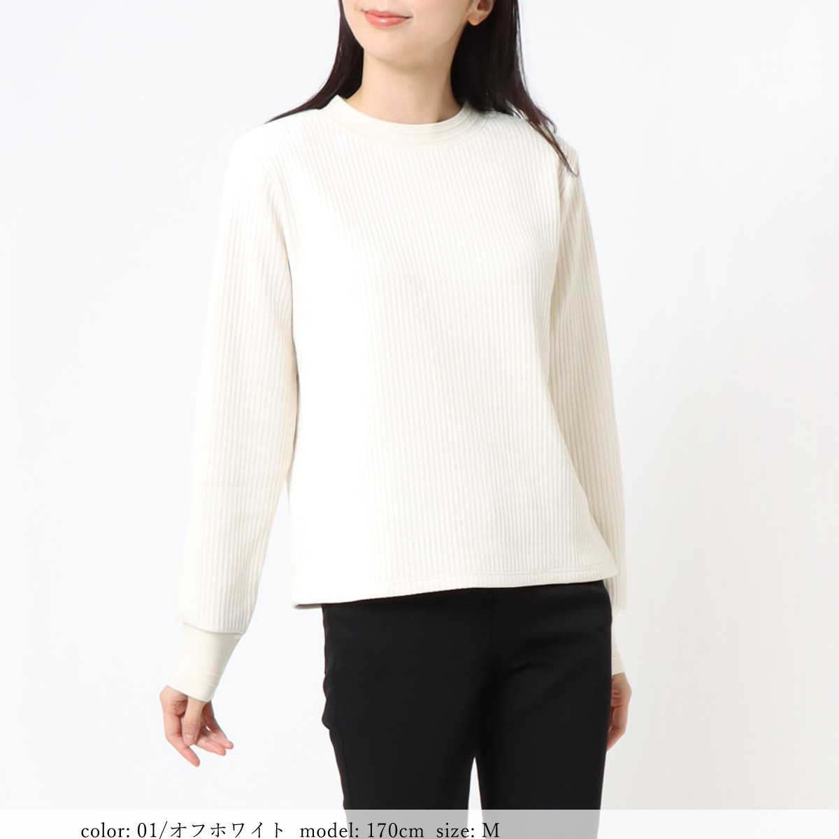 ��BIG SALE�ۥ���ѥ��ȥץ륪���С� SCT127