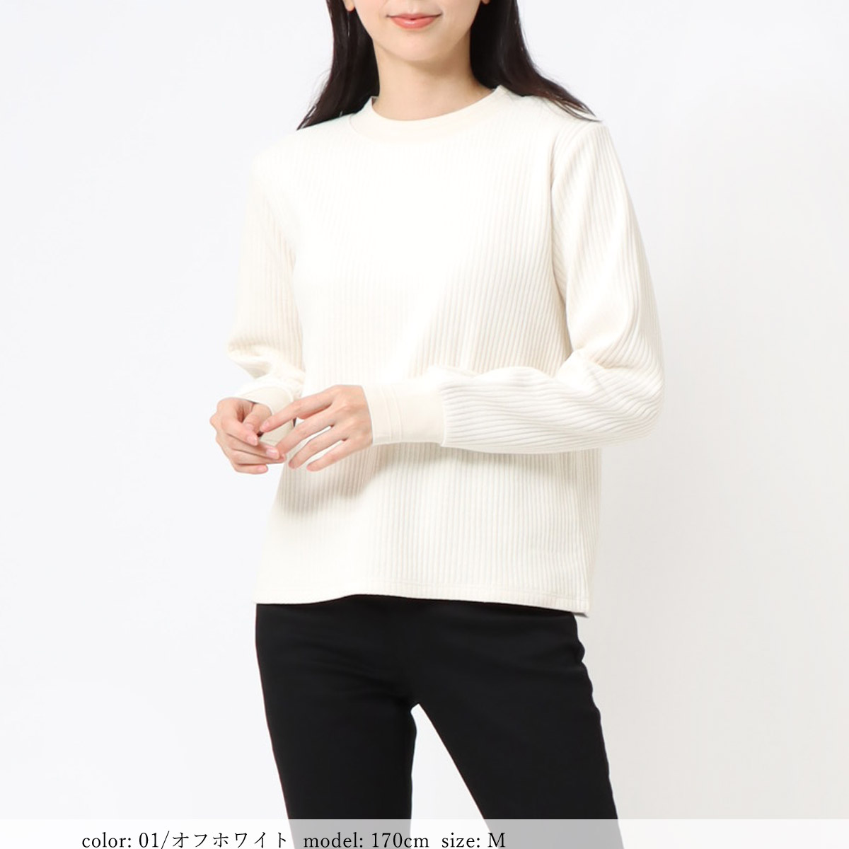 ��BIG SALE�ۥ���ѥ��ȥץ륪���С� SCT127