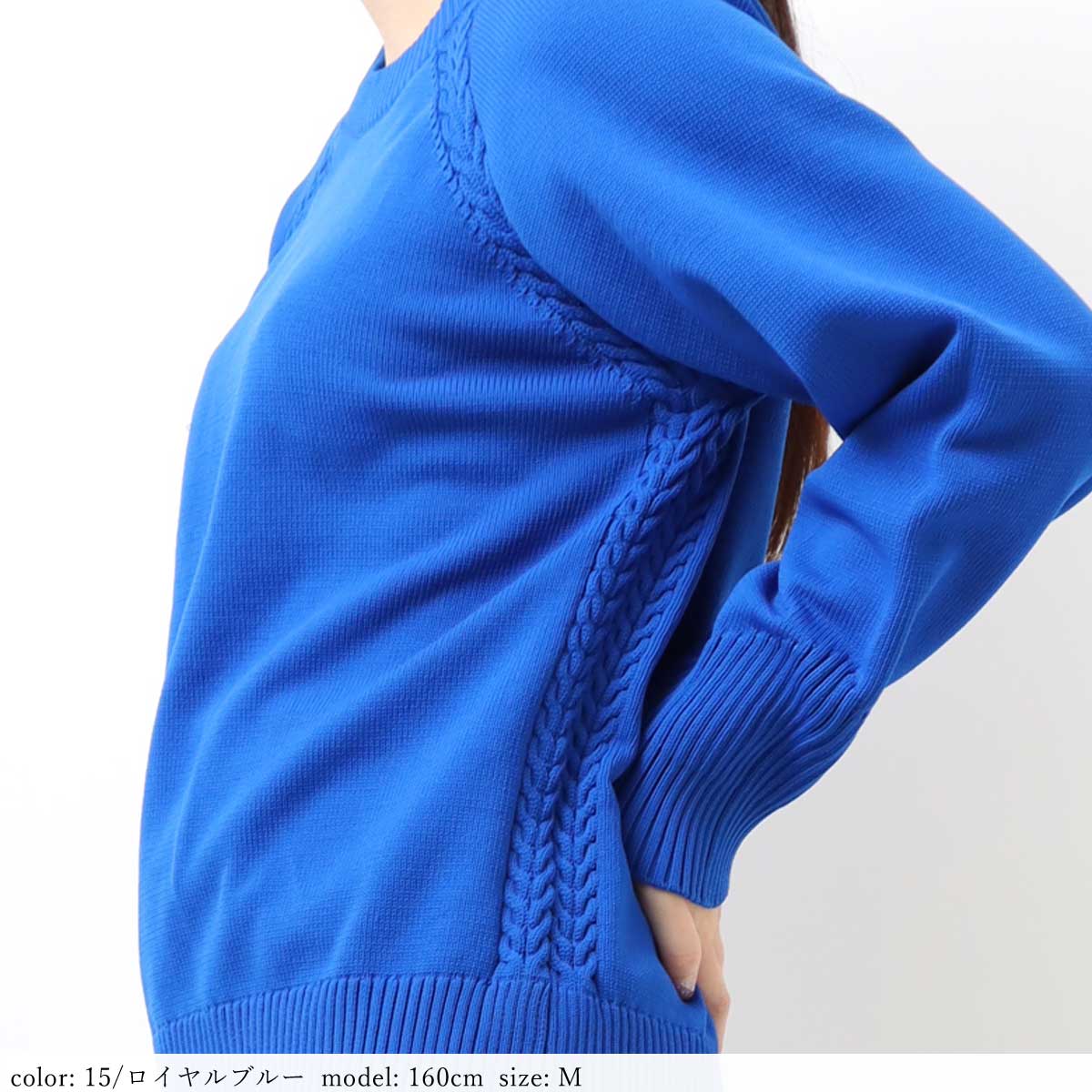 ��1/16�����Ͳ����Ϻ߸˸¤��SALE�ۥ����֥�ץ륪���С� SCT129