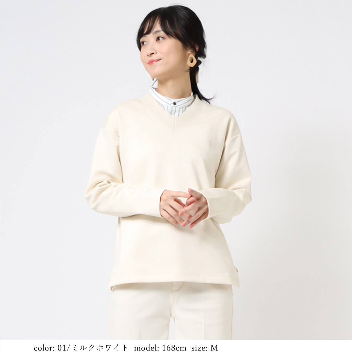 ��SALE��V�ͥå��ץ륪���С� SCT126