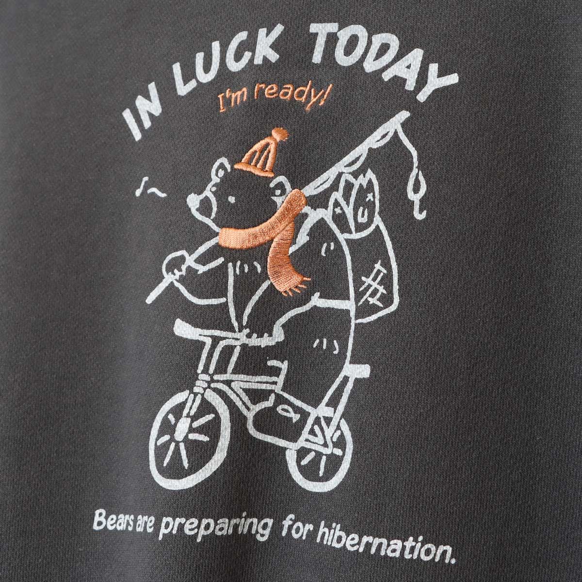 ��BIG SALE�ۥɥ����ȥץ��ȥ������å� CF6159