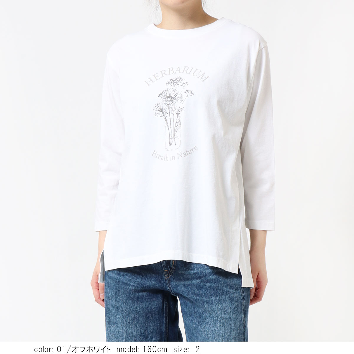 �ץ���7ʬµT����� GMT489