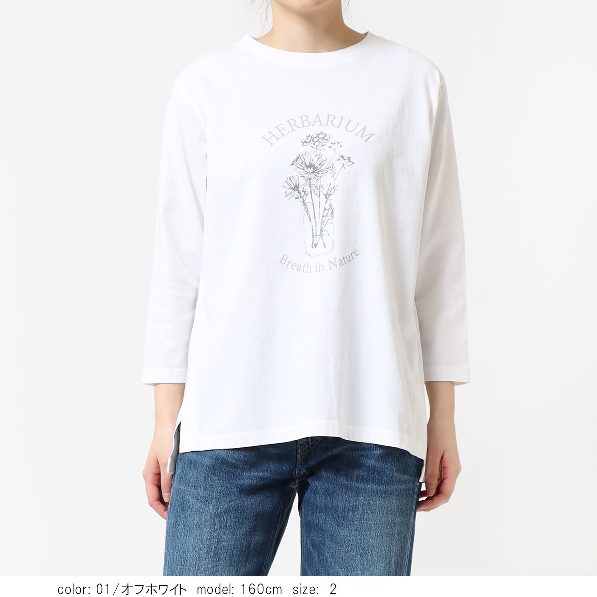 �ץ���7ʬµT����� GMT489