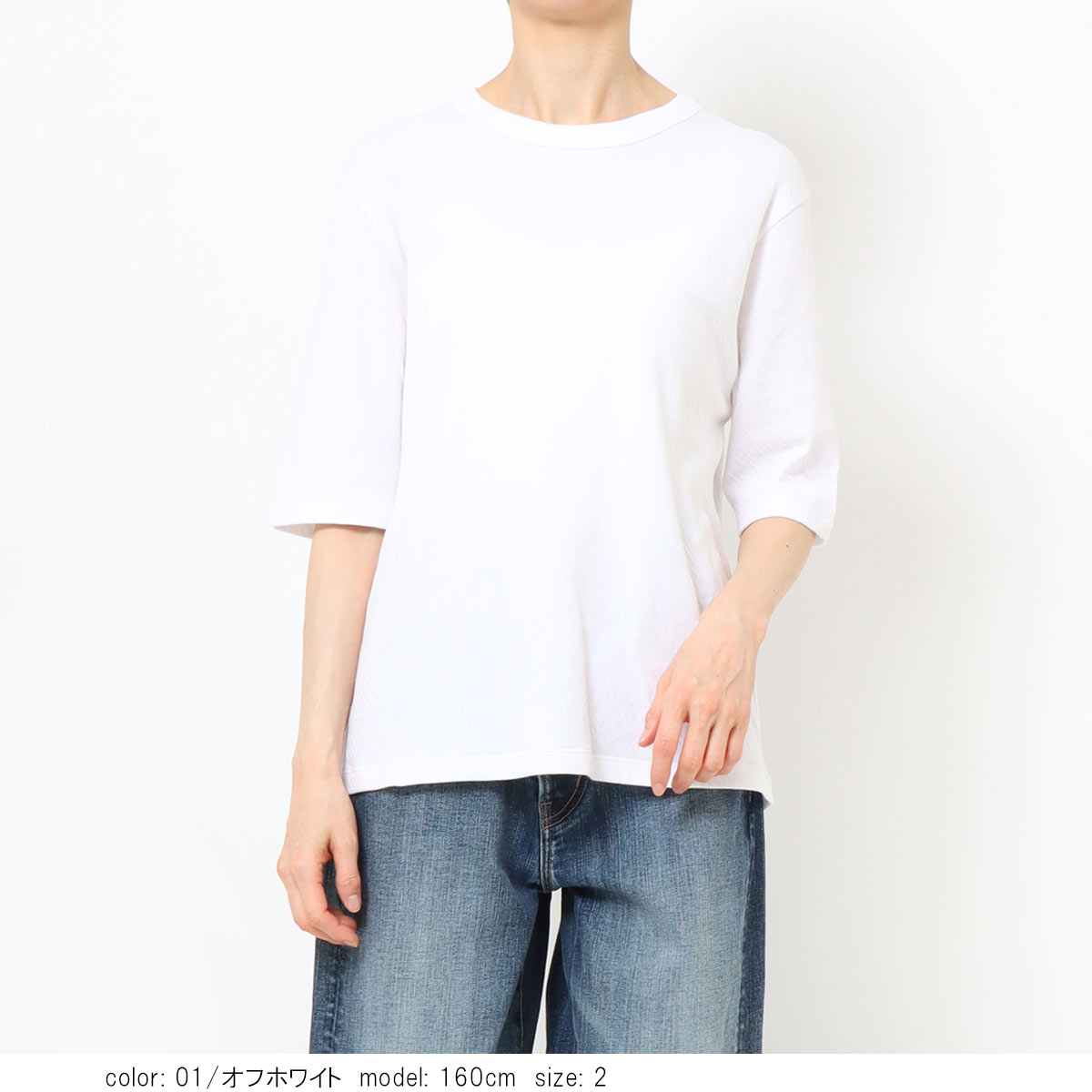 ��2BUY15%OFF���ܷ륬����5ʬµT����� GMT490