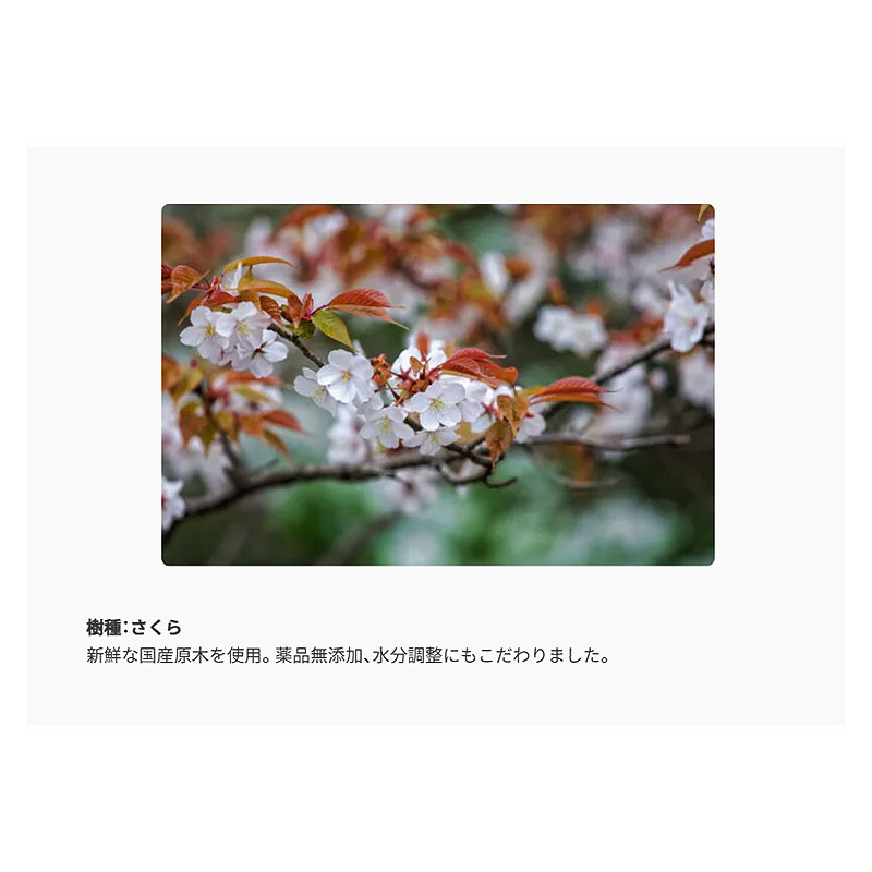 SOTO スモークウッドミニ さくら ST-1391WM