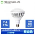 TES���ʥƥ��饤�ƥ��󥰡ˡ�LDR15W110/850/E26-Hs������եХ饹�ȿ����160W����100V�ѡ�����E26������