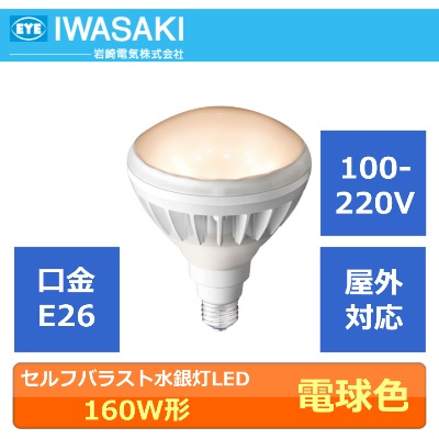 IWASAKI （岩崎電気） LDR14L-H/W830 セルフバラスト水銀灯160W形 100 