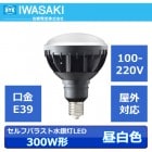 IWASAKI　（岩崎電気）　LDR30N-H-E39/B850　（旧LDR33N-H/E39B750後継品）　セルフバラスト水銀灯300W形　100-220V用　口金E39　昼白色　本体色：黒|LE