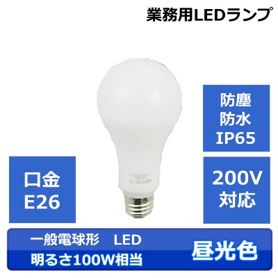 NGL��FA15CS-DG�����뤵100W��������������۸���200V�б�LED���ס�100-200Vξ��