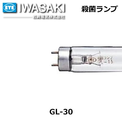 IWASAKI������ŵ������ݥ��ס�GL-30��ľ�ɥ�����������30��