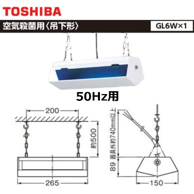 TOSHIBAǥ饤ƥåˡGR-06101-SL15-Zѡ̷ 50HzѡGL61
