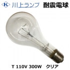 KAWAKAMI幩ȡˡס 110V 300W ѿŵ塡ꥢE39TAI 110V 300W PSE ʡˢHAKUYOŵ110V 300Wѿŵ奯ꥢˤƤϤȤʤޤ