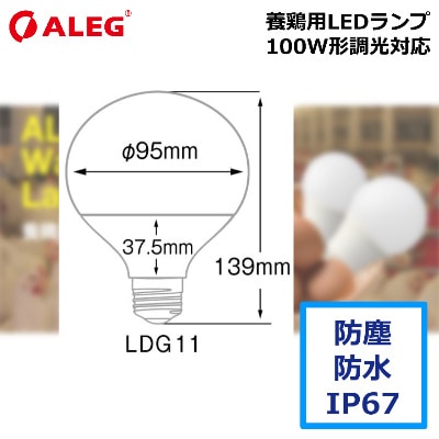ALEG��LDG11N-G/D100W���ܷ���LED���ס����뤵100W���������򿧡�Ĵ���б����ɿ��ɿ�IP67������E26
