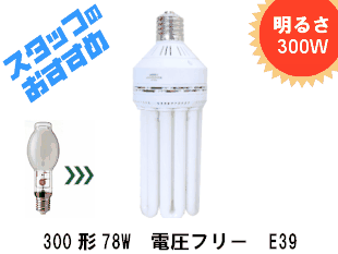 ��������ؾʥ����緿�ָ���������300��78W��D�����Ű��ե꡼������E39