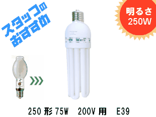 ؾʥ緿ָ25075WD200VѡE39