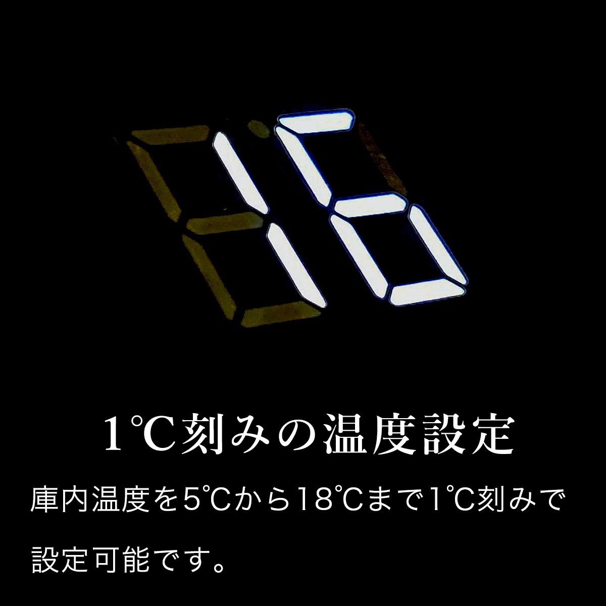 BLACK �磻�󥻥顼 110�ܼ�Ǽ ����ץ�å����� DWCB-110C