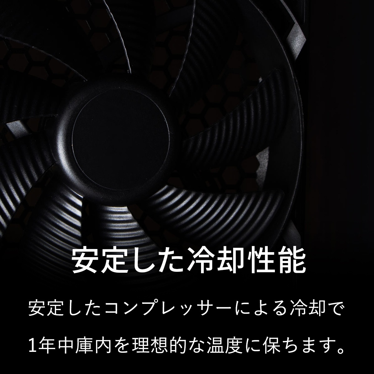 �磻�󥻥顼 24�ܼ�Ǽ ����ץ�å����� ¿��ǽ�⥳���ѥ�ǥ� DWC-Y024